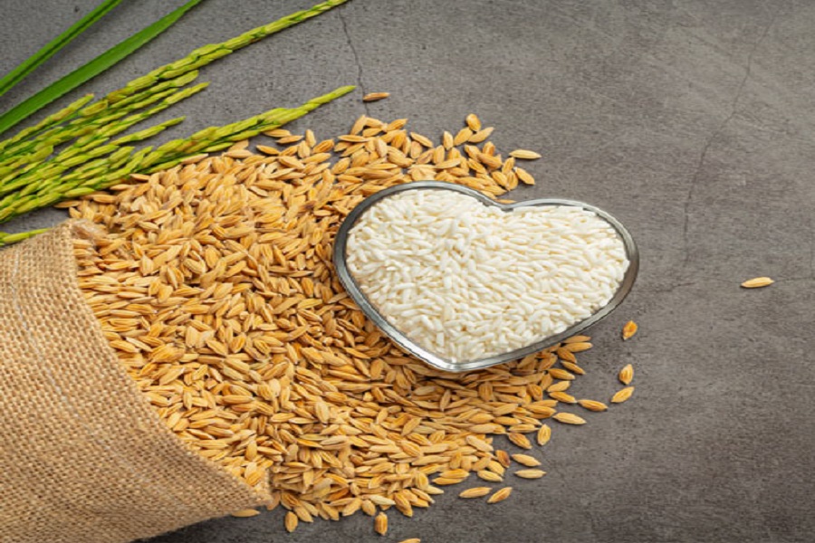 Top 4 Reasons Why You Should Be Eating Low GI Rice